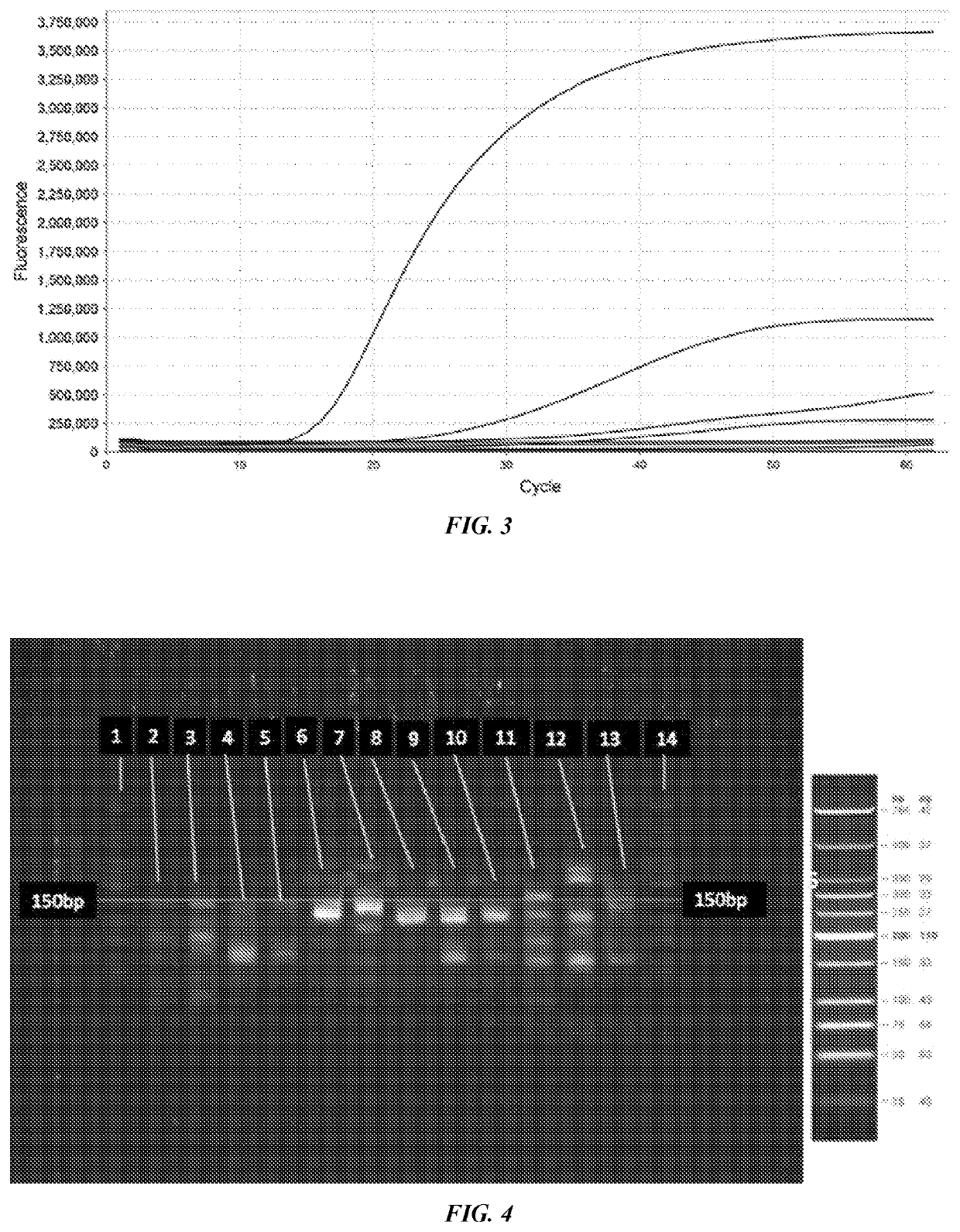 Devices, systems and methods for biomarker analysis