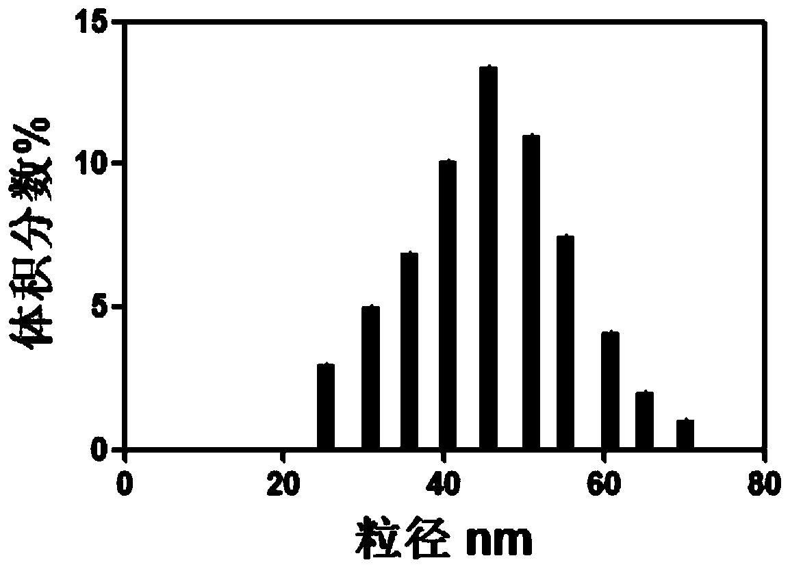 Magnetic nanoparticle for imaging guidance and preparation method thereof