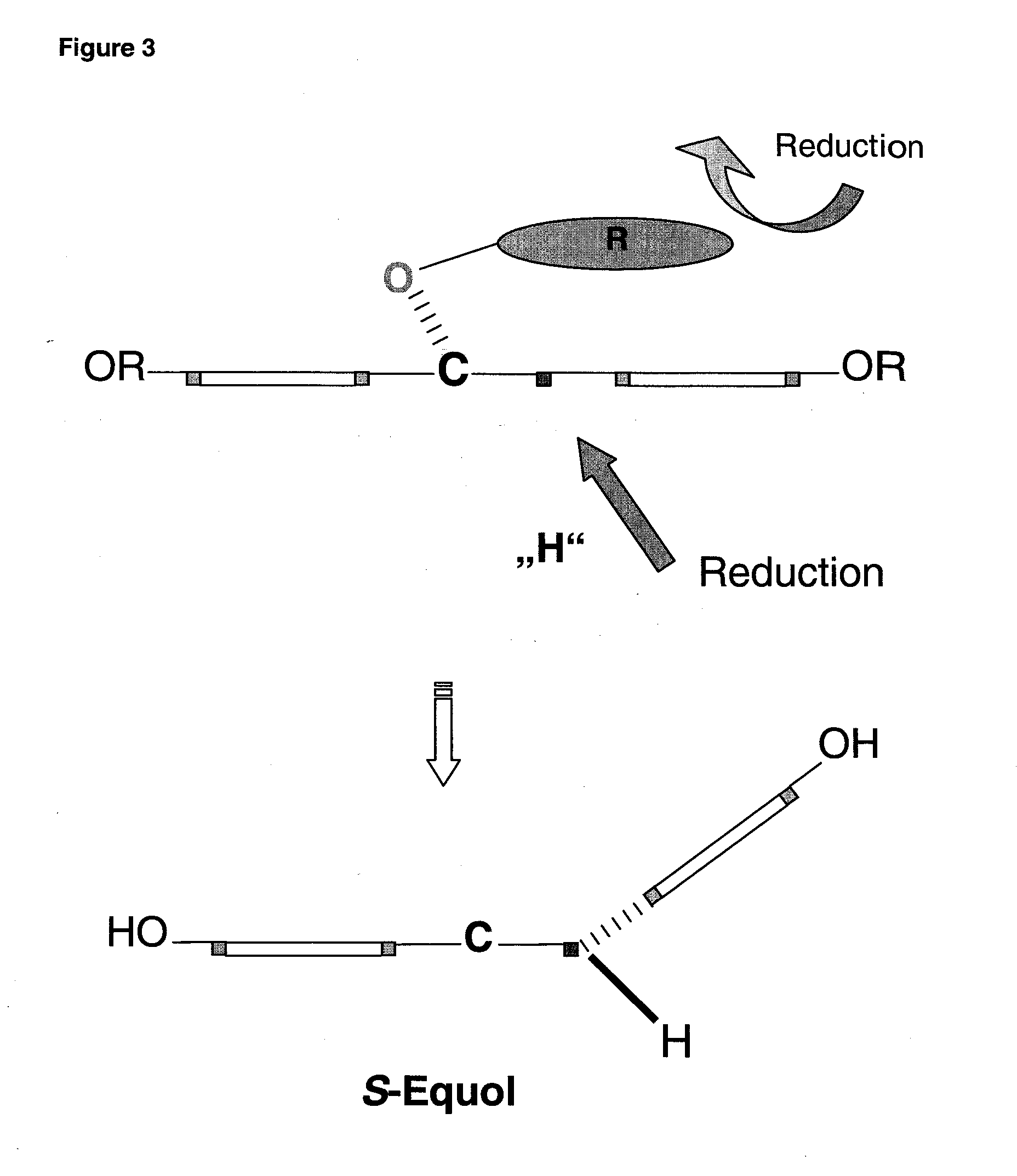 Synthesis of equol