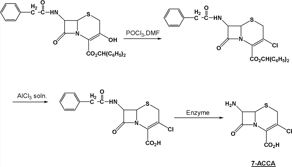 Method for preparing 7-ACCA