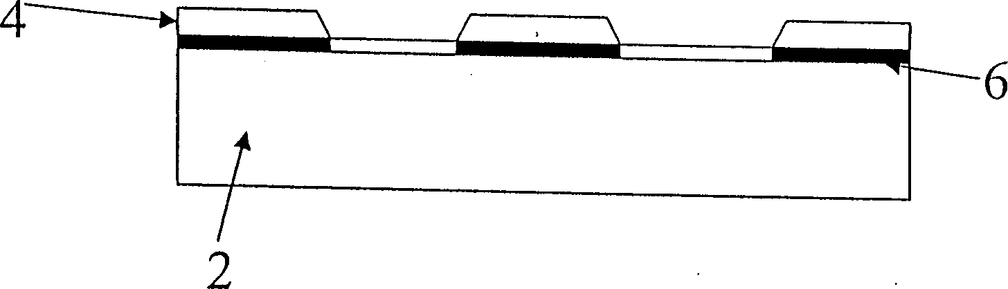 Colored radiation solidifed wearing-resistant layer