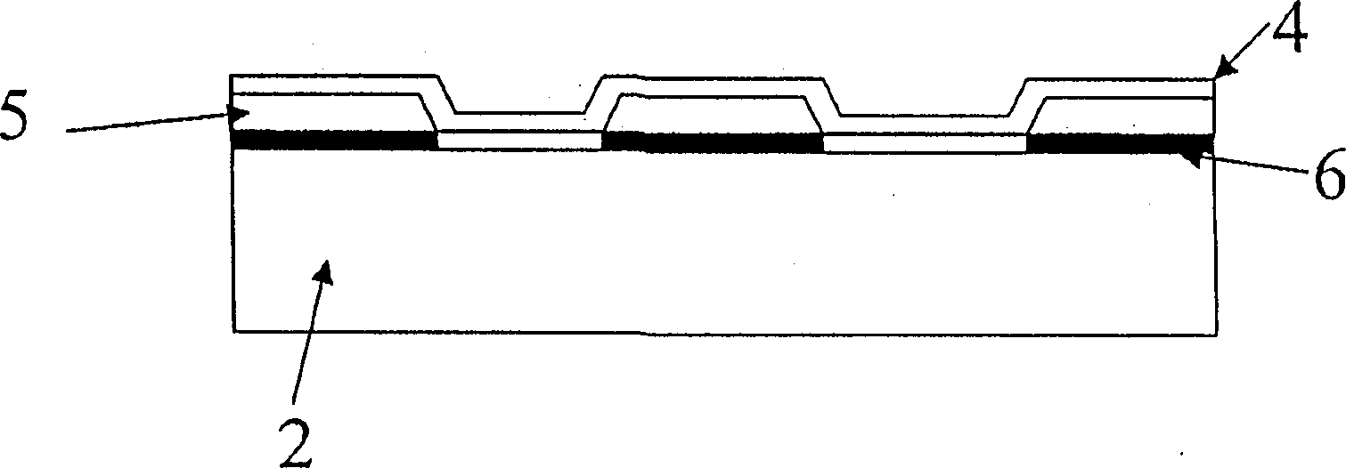 Colored radiation solidifed wearing-resistant layer