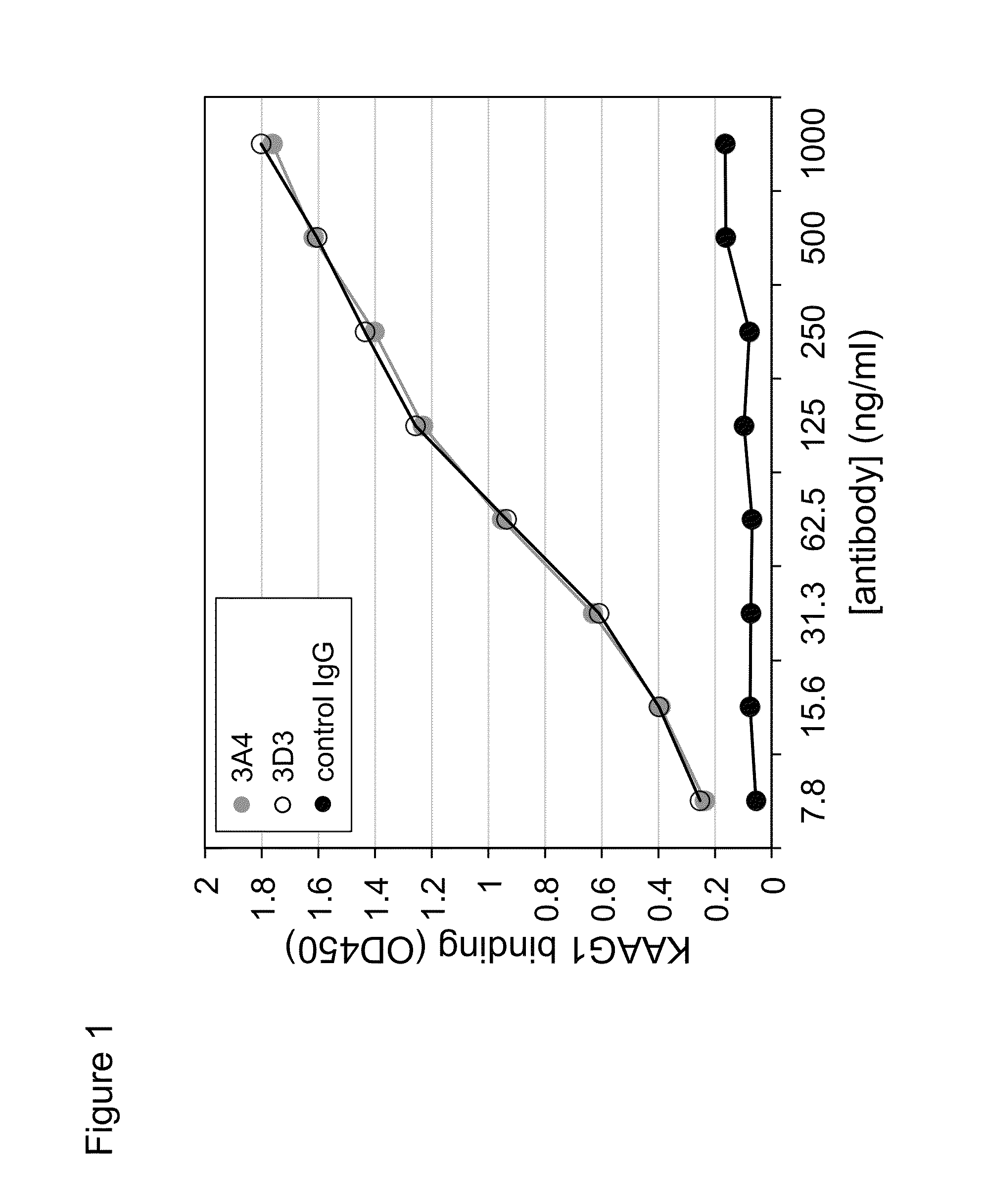 Antibodies against kidney associated antigen 1 and antigen binding fragments thereof