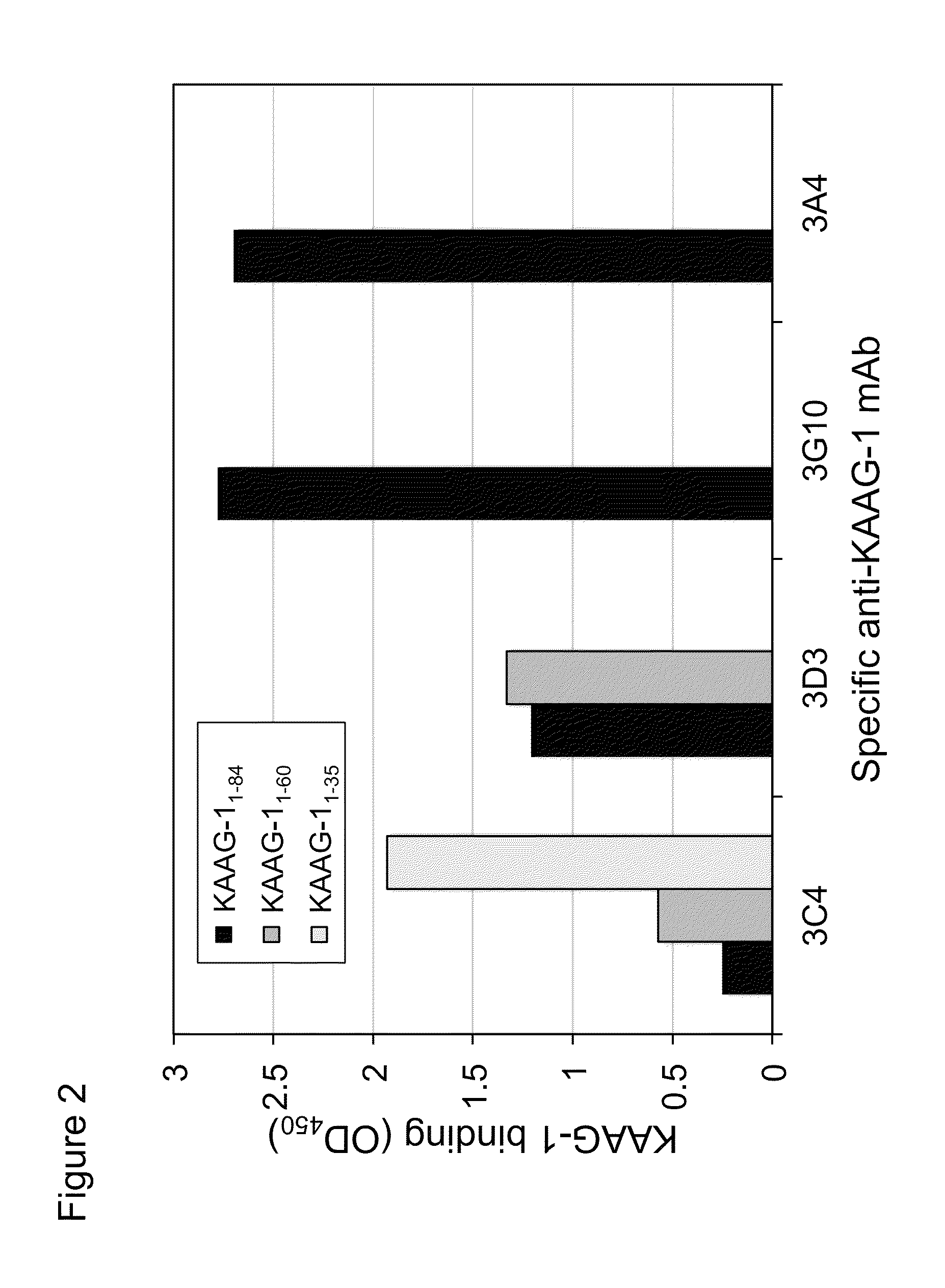 Antibodies against kidney associated antigen 1 and antigen binding fragments thereof