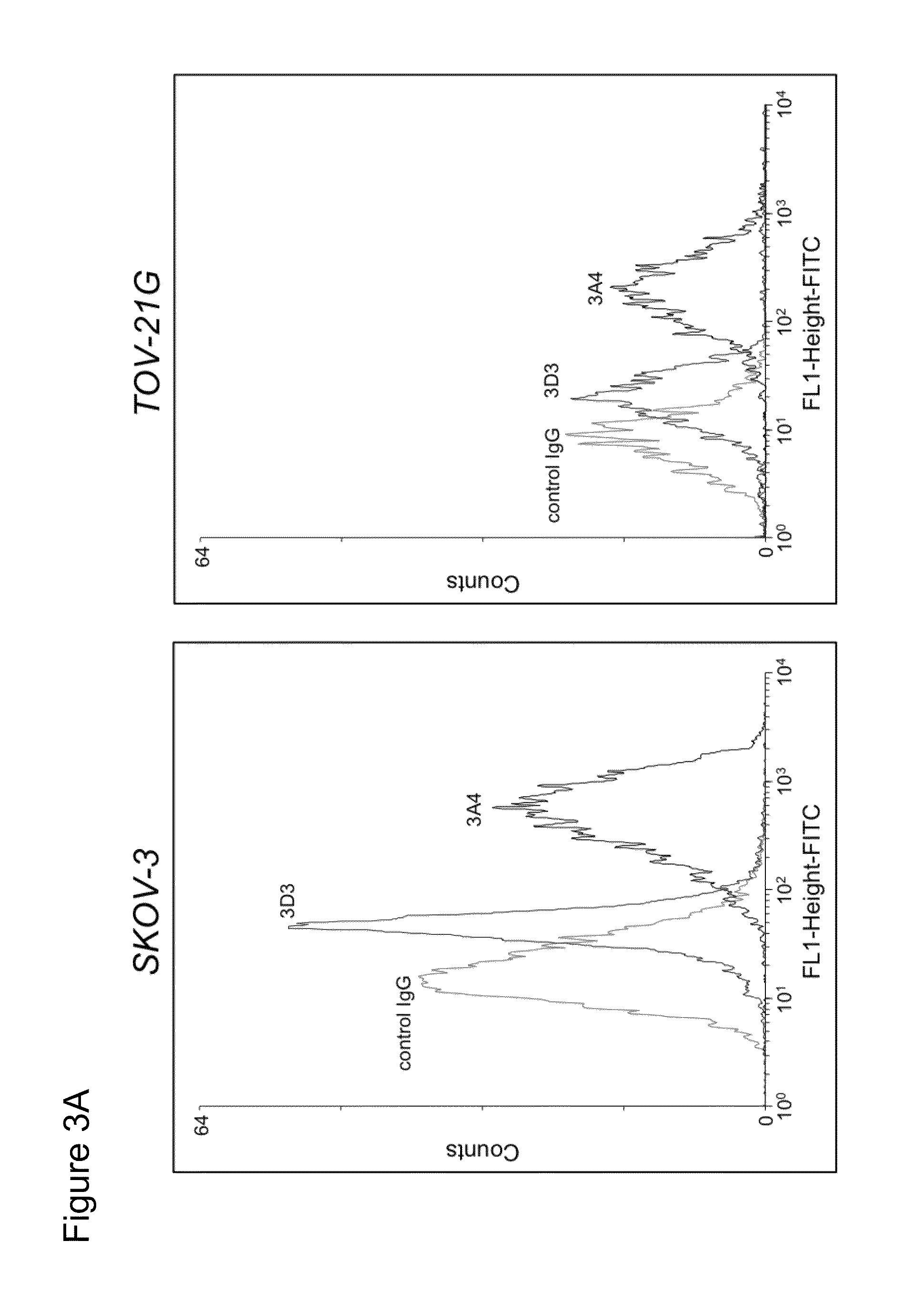 Antibodies against kidney associated antigen 1 and antigen binding fragments thereof