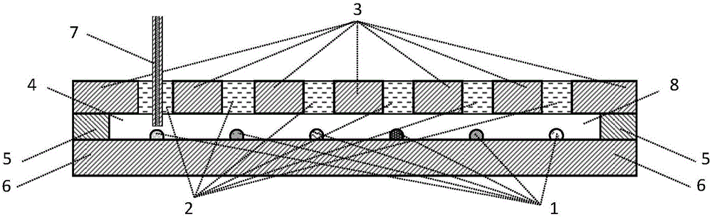 Gas interval-type droplet evaporation-resistant micro fluidic chip apparatus and method thereof