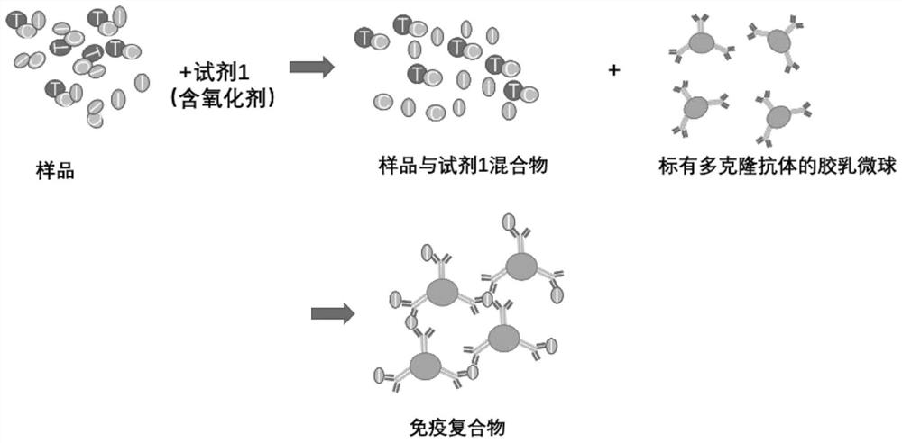 High-sensitivity specific troponin I latex turbidimetric detection kit adopting transmission-scattering integrated method