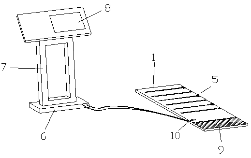 A luminous standing long jump test device