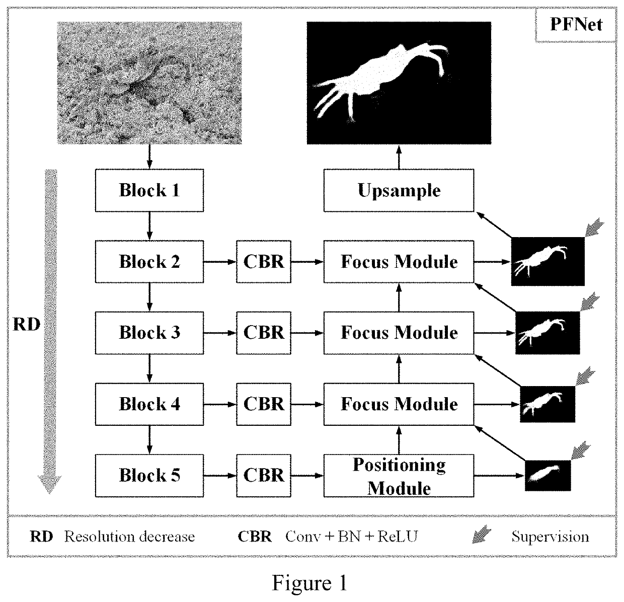 Camouflaged object segmentation method with distraction mining