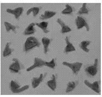 Method of improving soybean genetic transformation efficiency by virtue of synergism of surfactant and ultrasonic waves and application of method