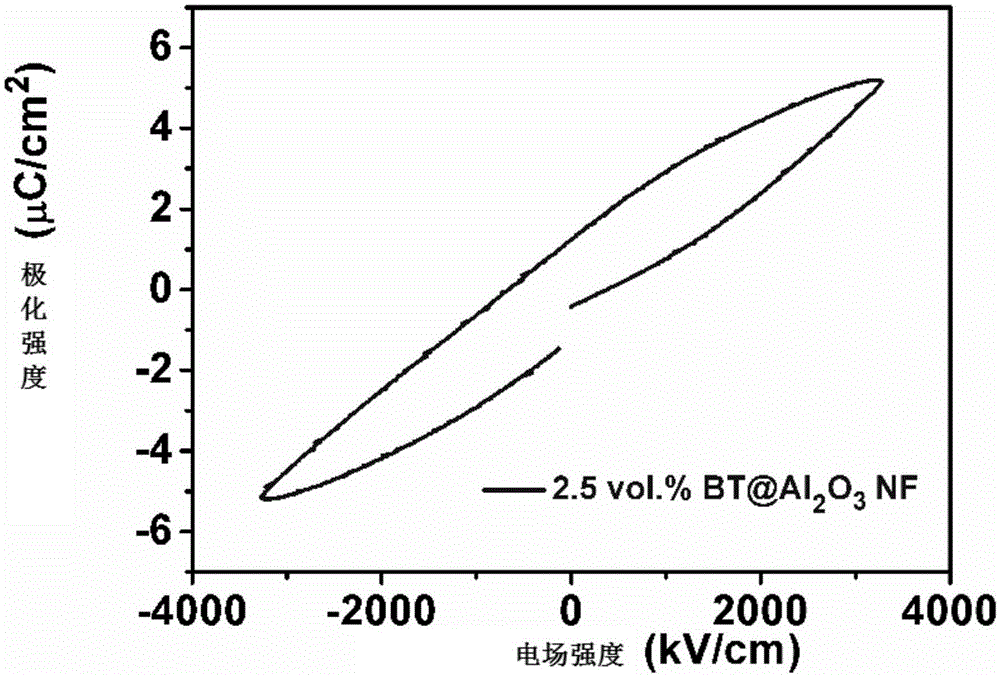 Polymer matrix composite and preparation method thereof