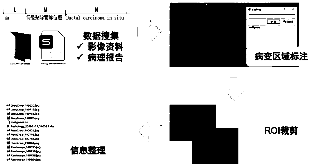 Multi-mode ultrasonic image classification method and breast cancer diagnosis device