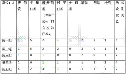 Traditional Chinese medicine composition for blacking hair