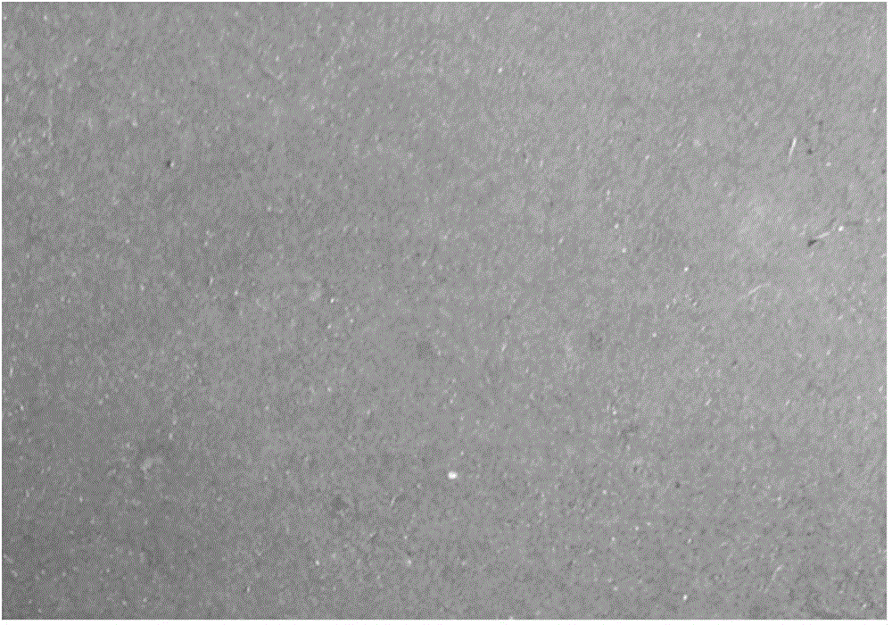 High temperature protective coating and its application and production method of titanium ingot