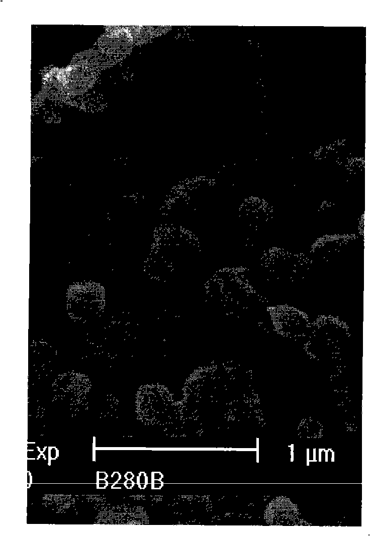 Spray coating method for producing dielectric ceramic powder body and obtained products thereof