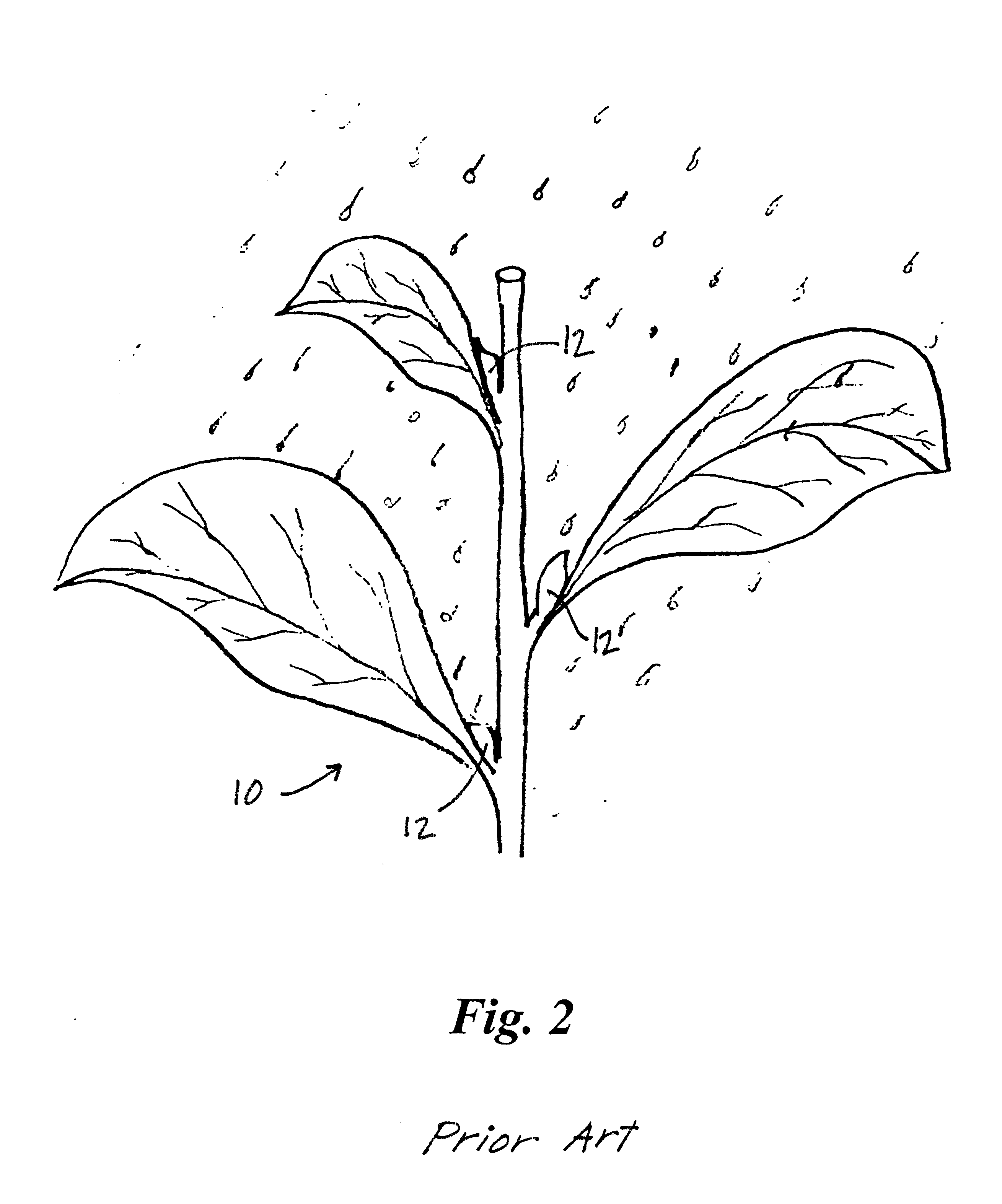 Method and apparatus for simultaneously topping tobacco and controlling suckers with chemicals applied to cut stems by mechanical means