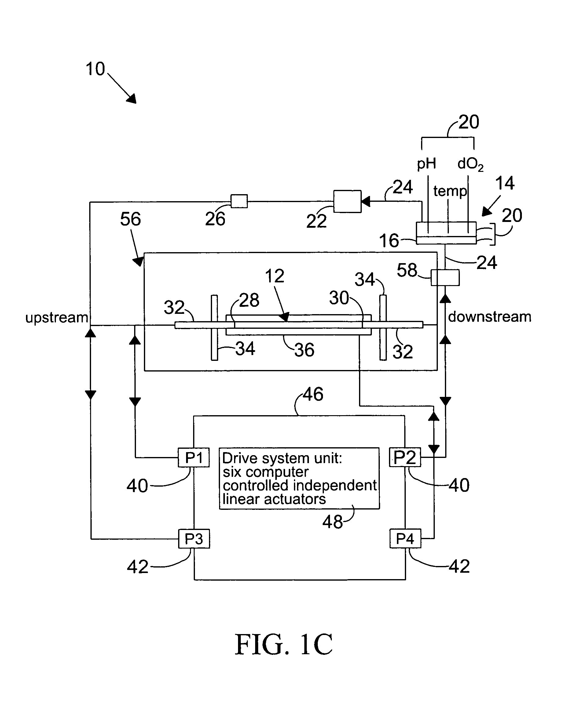 System and method to simulate hemodynamics