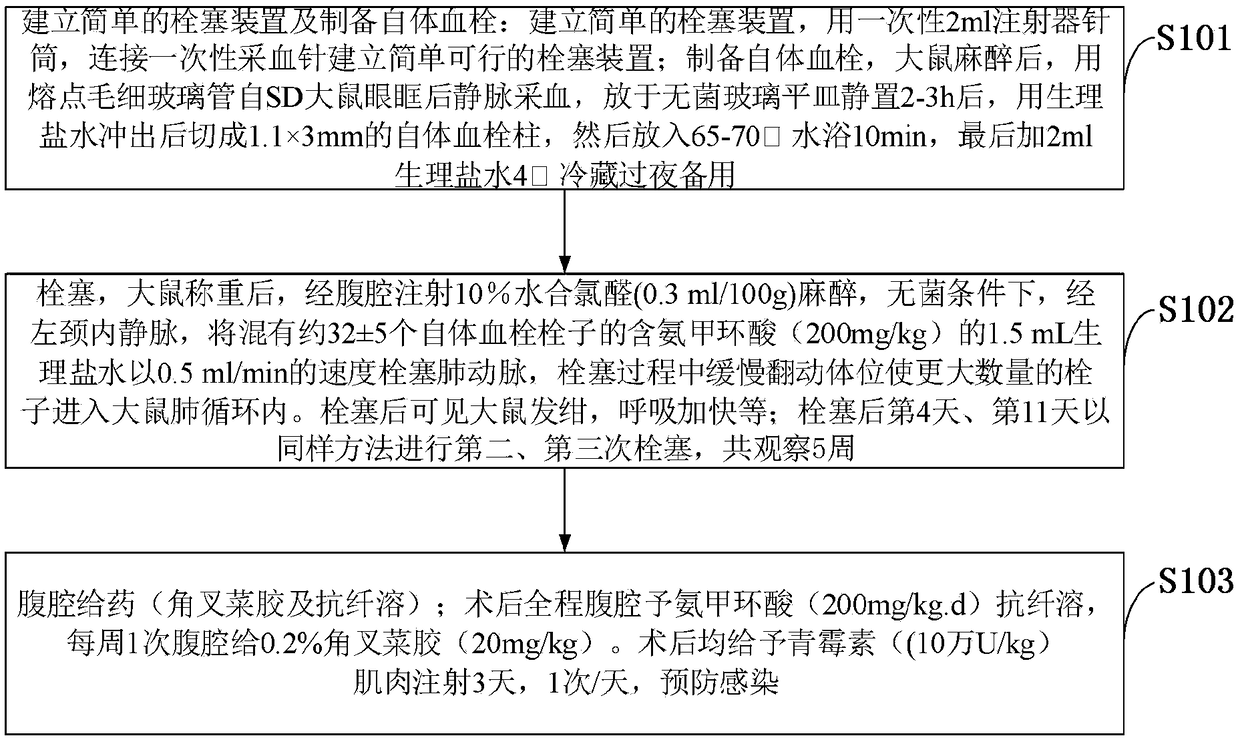 Chronic thromboembolic pulmonary hypertension rat model and building method thereof