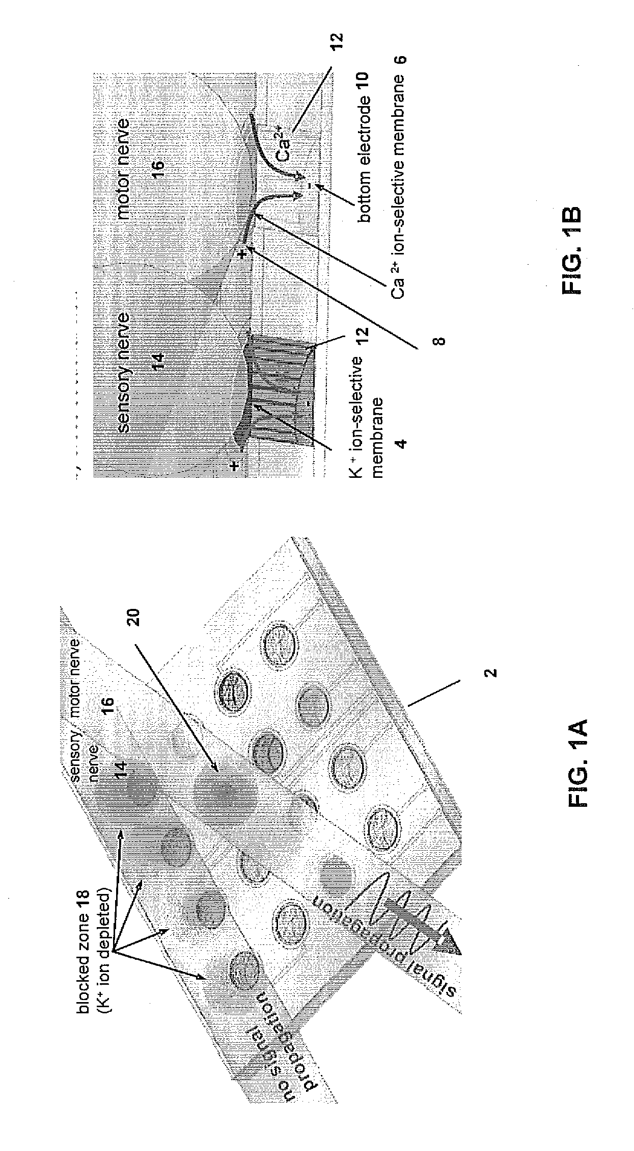 Microfabricated ion-selective electrodes for functional electrical stimulation and neural blocking