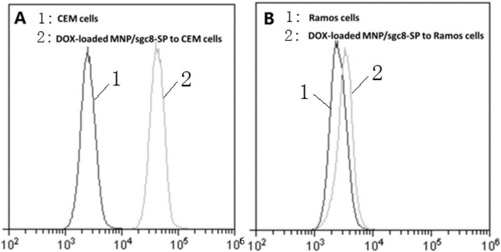 Multifunctional magnetic DNA (deoxyribonucleic acid) nanosphere and preparation method and application thereof