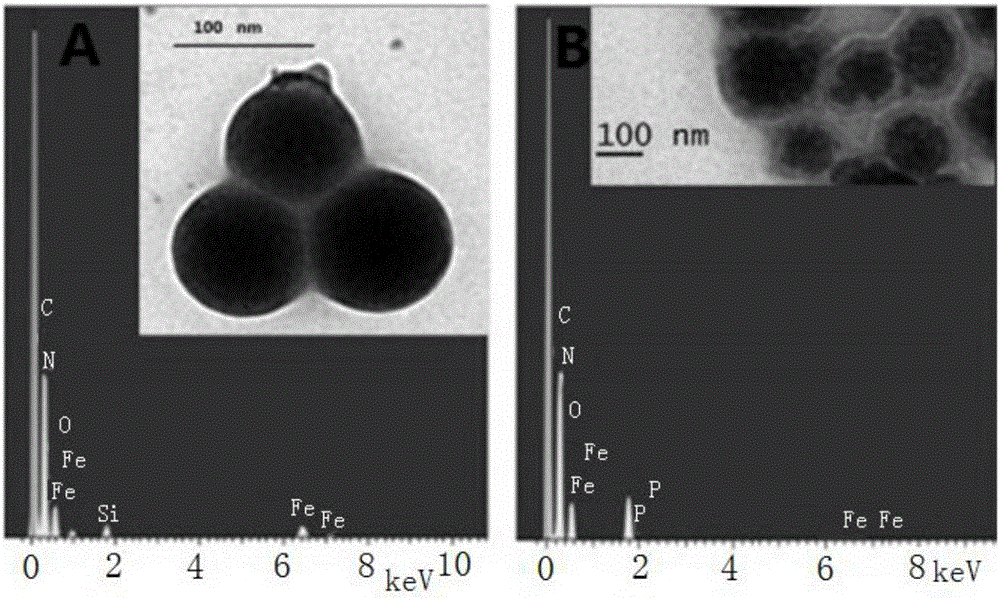 Multifunctional magnetic DNA (deoxyribonucleic acid) nanosphere and preparation method and application thereof