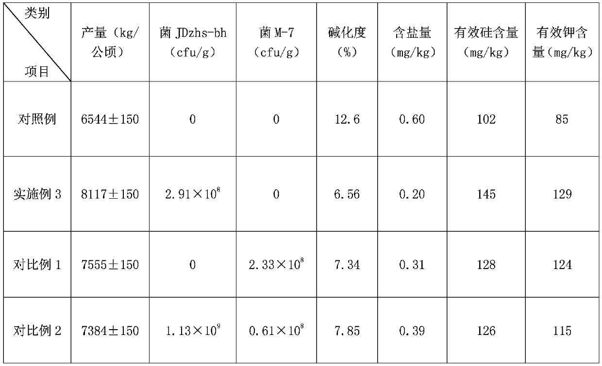 Bacillus mucilaginosus and application thereof for preparing saline alkali soil improvement agent