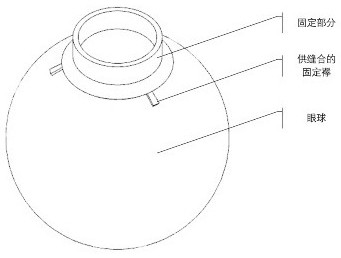 Corneal shaping device for correcting myopia