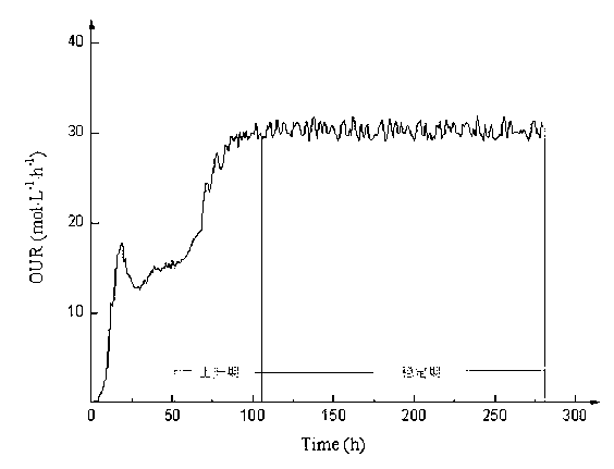 Process for producing salinomycin by glucose supplement and fermentation based on metabolic parameter OUR (oxygen uptake rate)