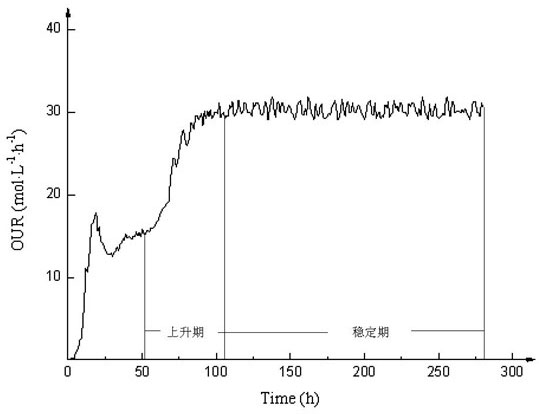 Process for producing salinomycin by glucose supplement and fermentation based on metabolic parameter OUR (oxygen uptake rate)