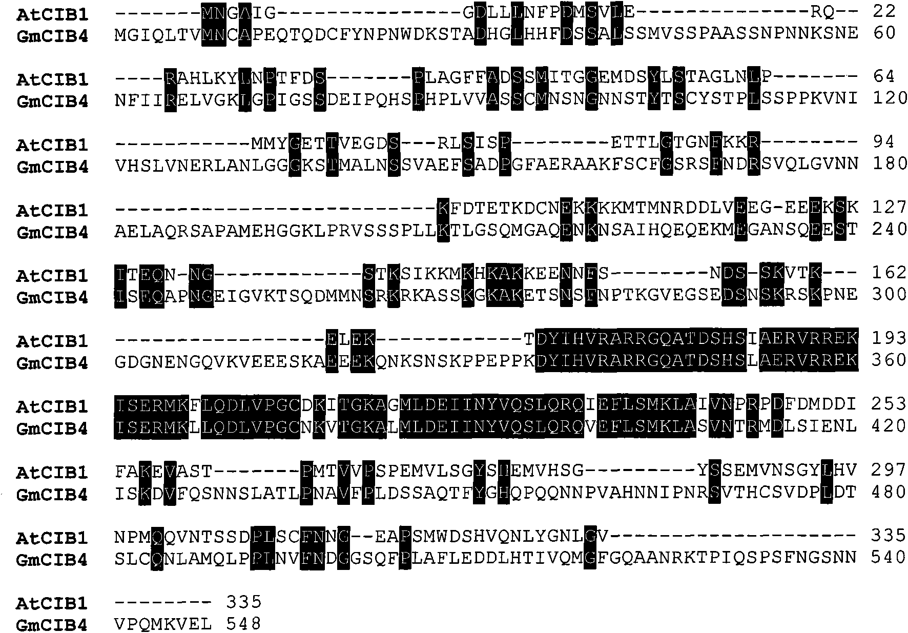 Soybean blossoming regulation gene GmCIB4, coding protein and application thereof