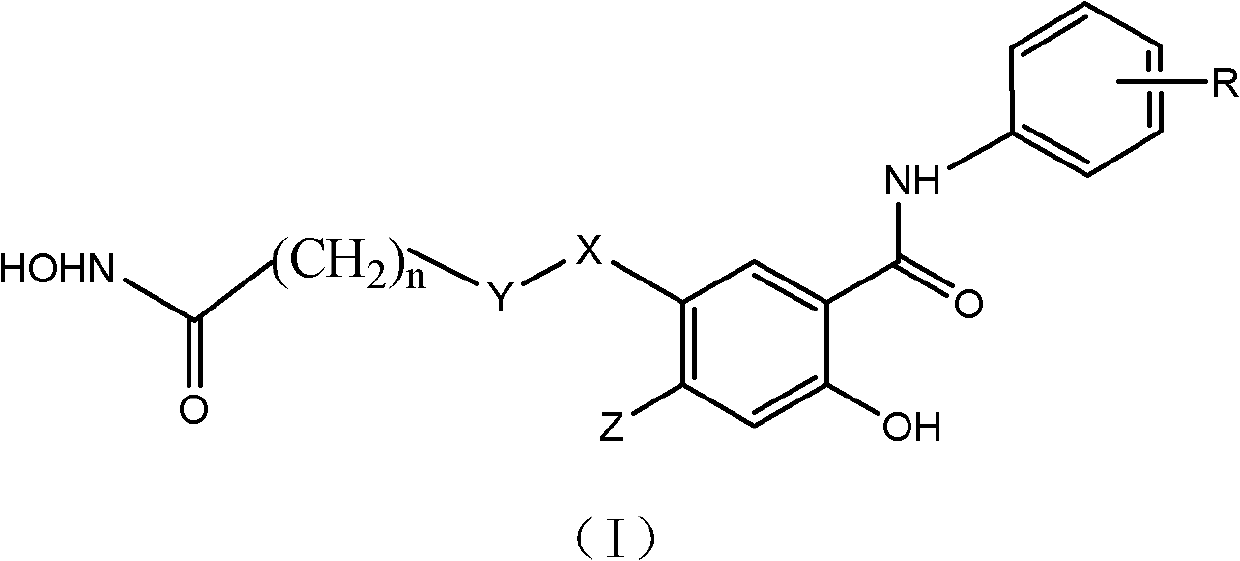 Salicylamide antitumor compound and its synthesis method and application