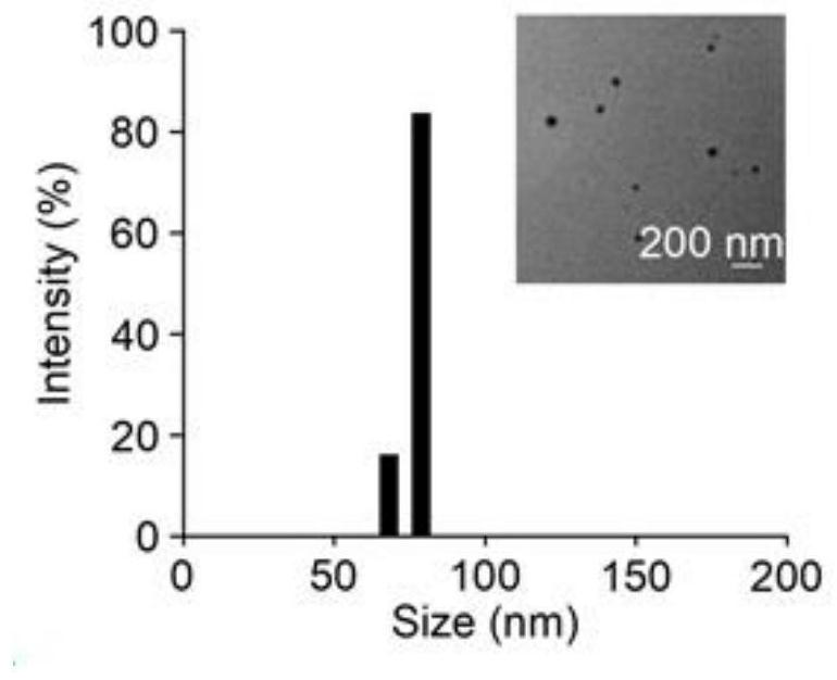 Application of polymer in cis-platinum detoxification