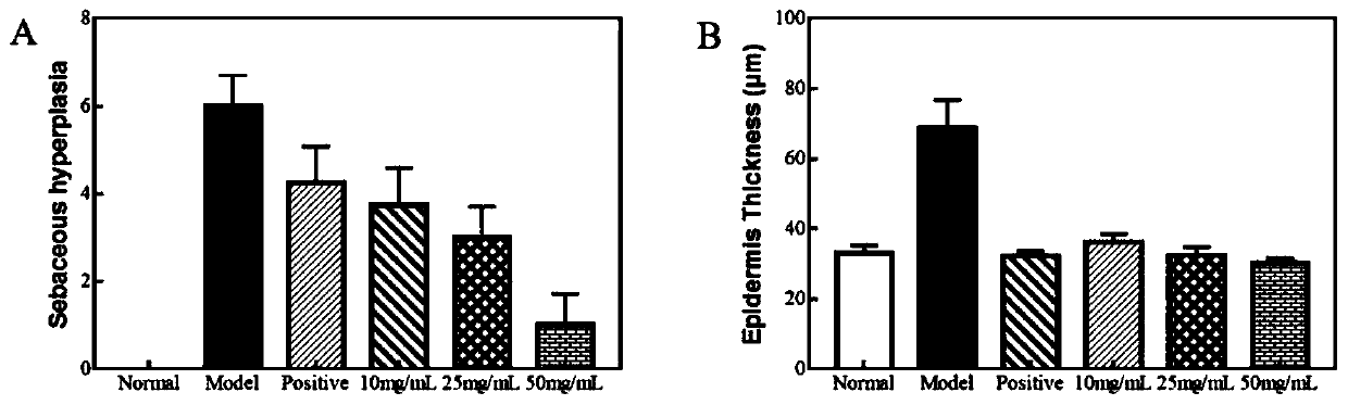 Method for evaluating medicinal effects of freckle removal and skin repairing of dendrobium officinale protocorms