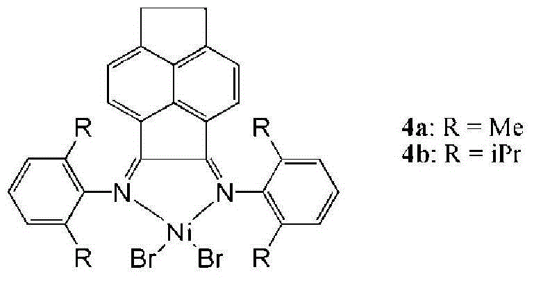 HBPE (hyperbranched polyethylene) functionalized with terminal hydroxyl groups and preparation method thereof