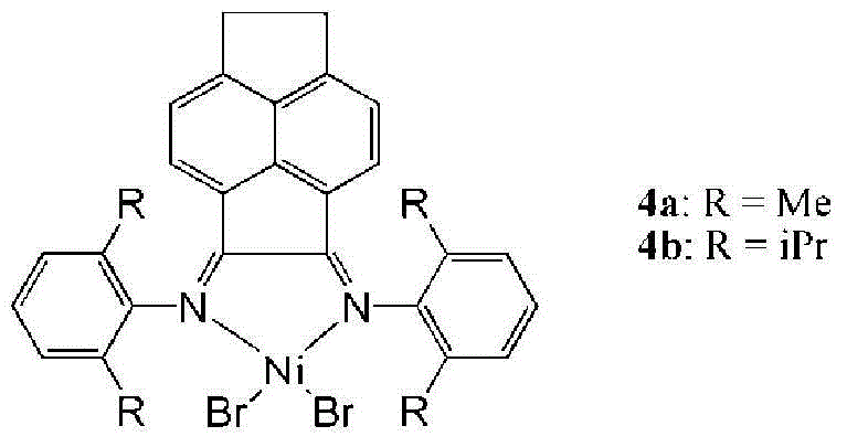 HBPE (hyperbranched polyethylene) functionalized with terminal hydroxyl groups and preparation method thereof