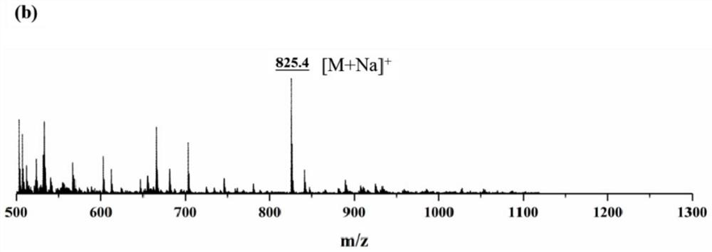 A chiral peptide antibacterial polymer with dendrimers as side chains and preparation method thereof