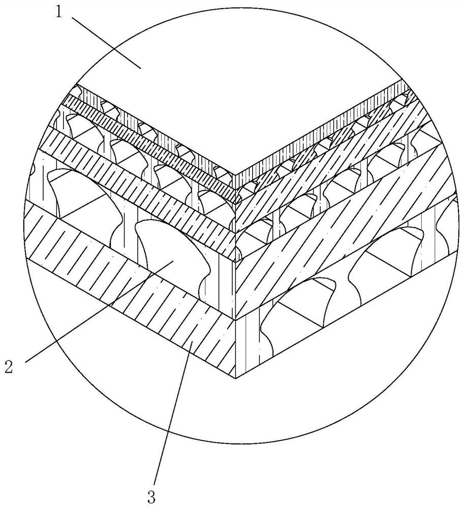 A coupling bionic anti-explosion energy-absorbing board and human body protection device or auto parts