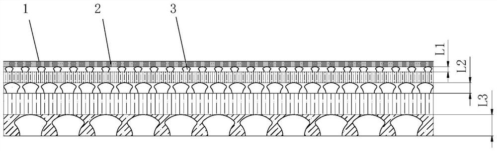 A coupling bionic anti-explosion energy-absorbing board and human body protection device or auto parts