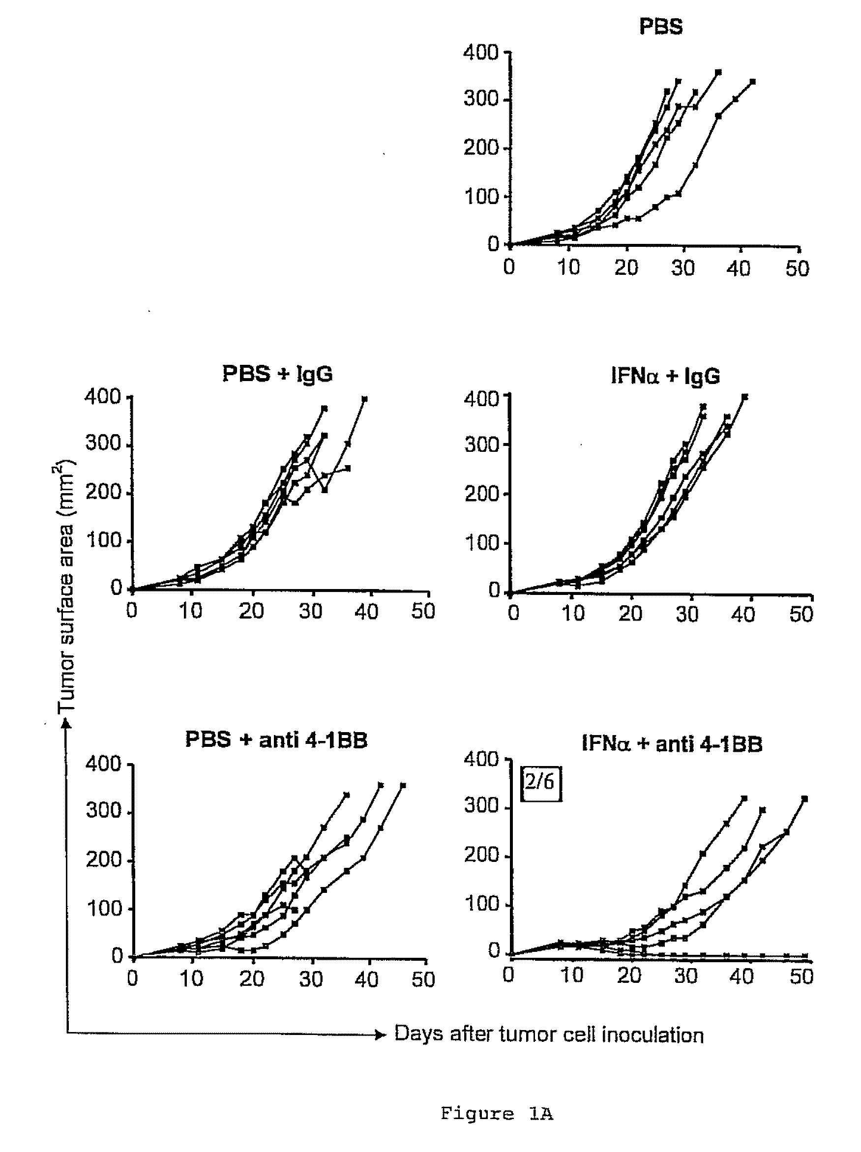 Pharmaceutical composition for cancer treatment