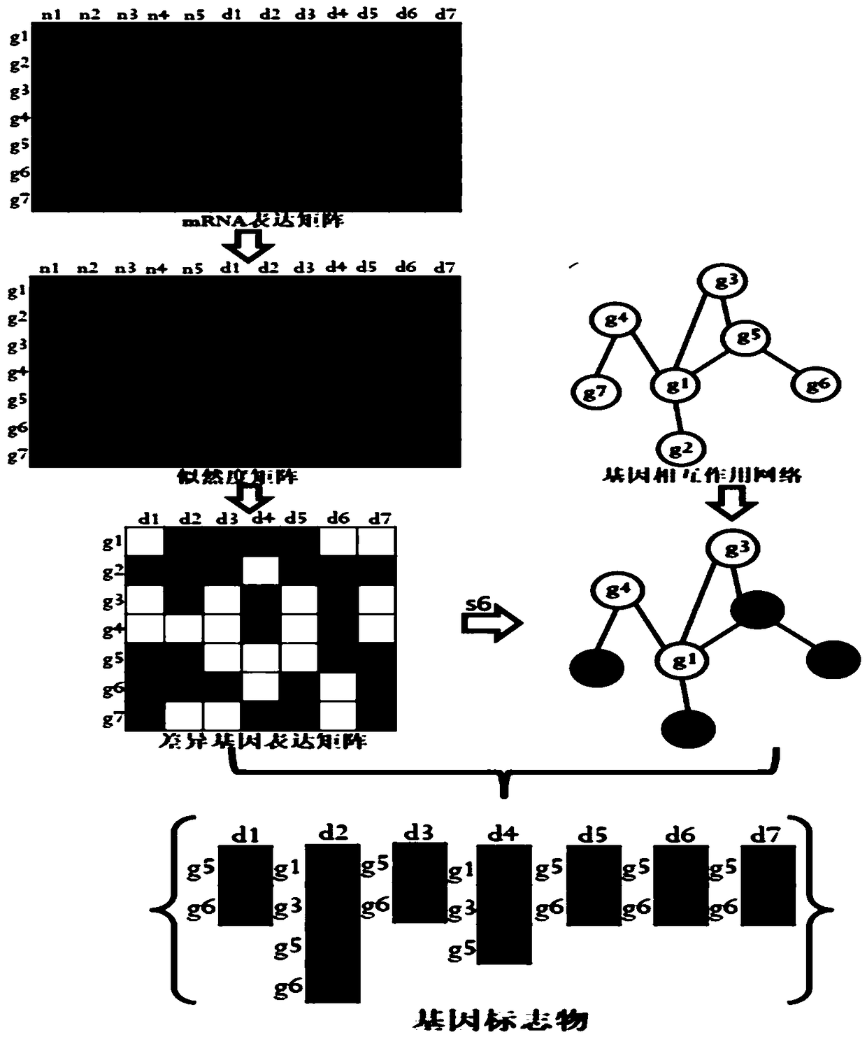 A method and system for determining cancer network markers based on probability model