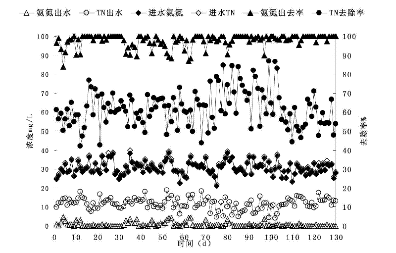 High-efficiency nitrogen and phosphorus synchronous removal method in treating low concentration wastewater