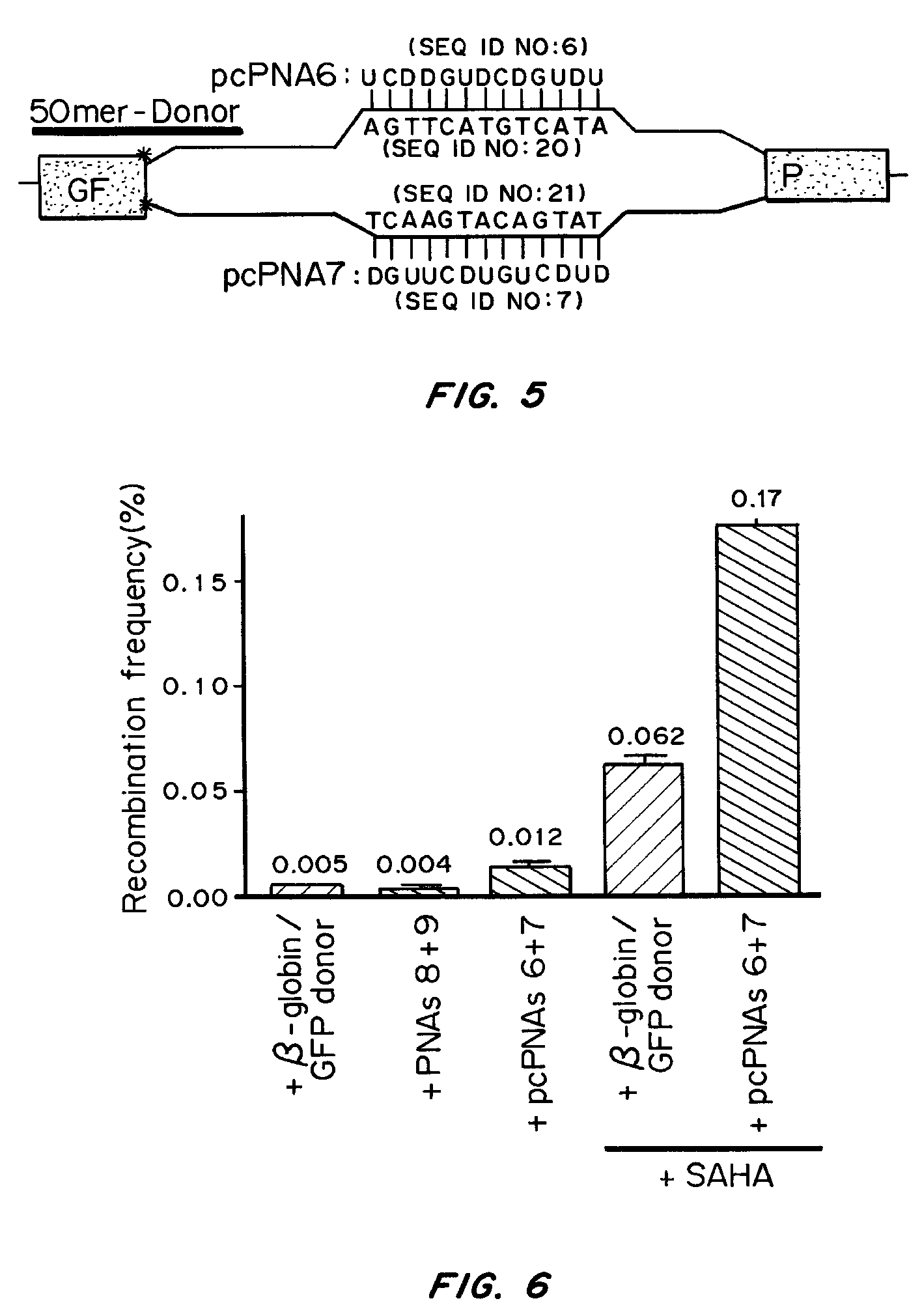 Pseudocomplementary oligonucleotides for targeted gene therapy