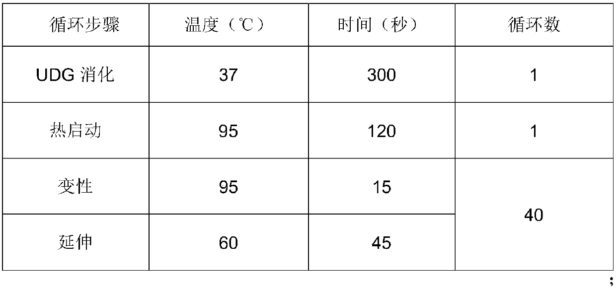 Kit for human papilloma virus typing detection