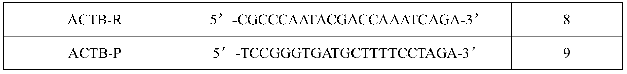 Kit for human papilloma virus typing detection