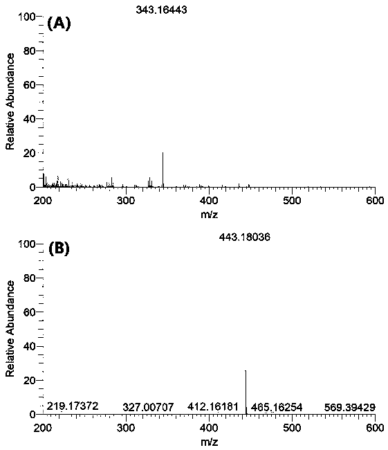 14-hydroxygelsenicine hapten and artificial antigen and preparation method and application thereof