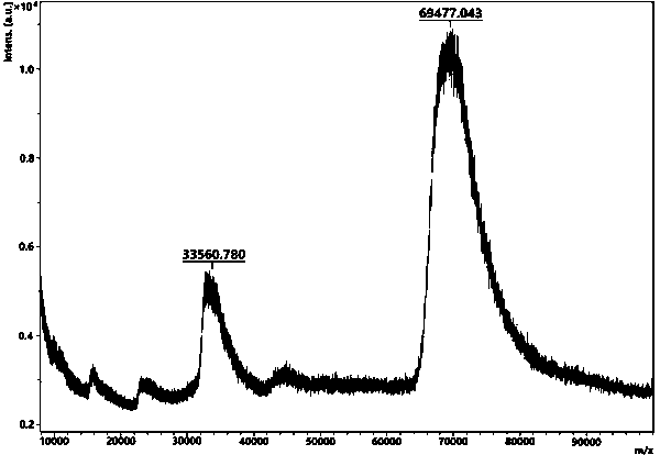 14-hydroxygelsenicine hapten and artificial antigen and preparation method and application thereof