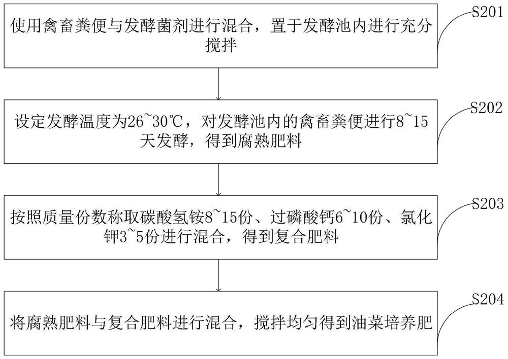 Breeding method of high-oil-content disease-resistant brassica napus germplasm