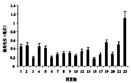 Method for luring Chrysopa sinica Tjeder to restrict Toxoptera aurantii Boyer by pheromones