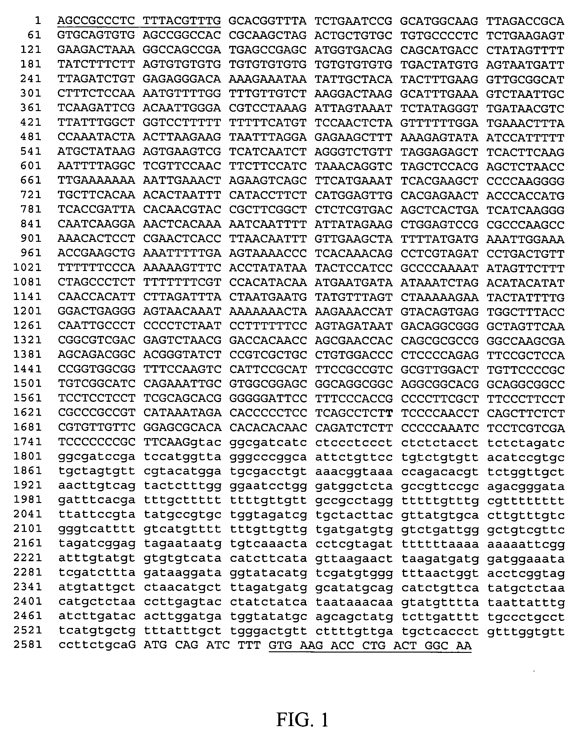 Cis-acting regulatory elements from tripsacum dactyloides