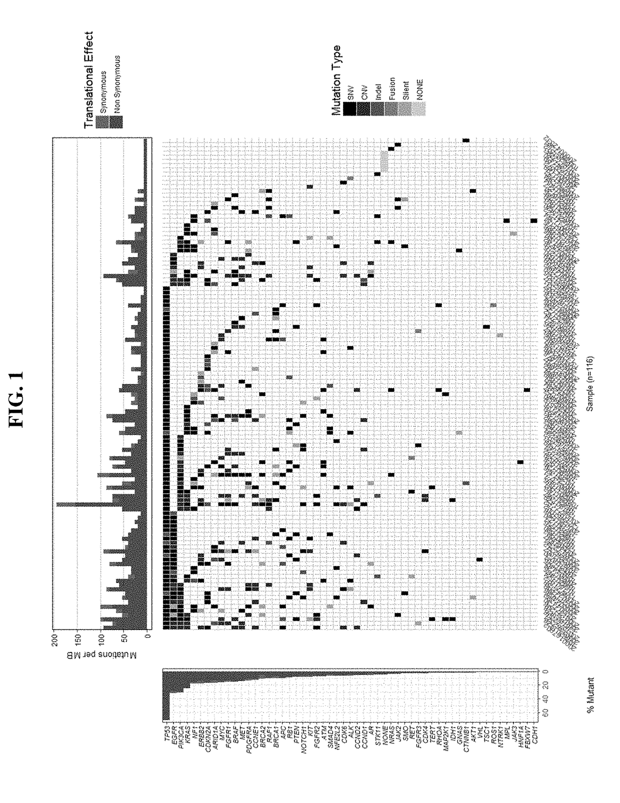 Tumor burden as measured by cell free DNA